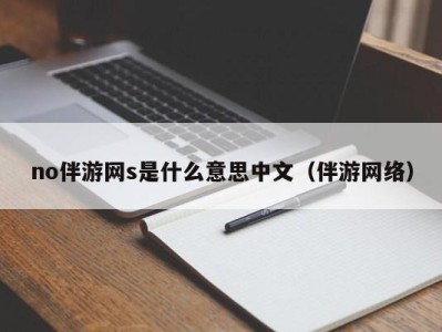 no伴游网s是什么意思中文（伴游网络）