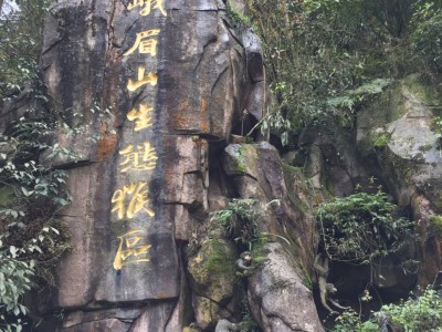 广州香磨山景区：天下第一奇山，地下河仙境，民族风采尽显，生态天堂一览无遗