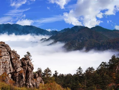 广州神农架：秘境之旅，云海奇观，草原牧歌，探寻世外桃源